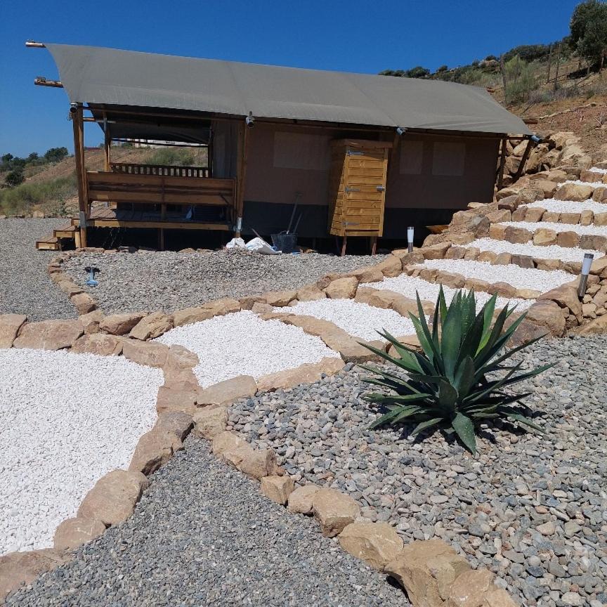 Cactus Hill - Safari Tents - Caminito Del Rey Alora Eksteriør bilde