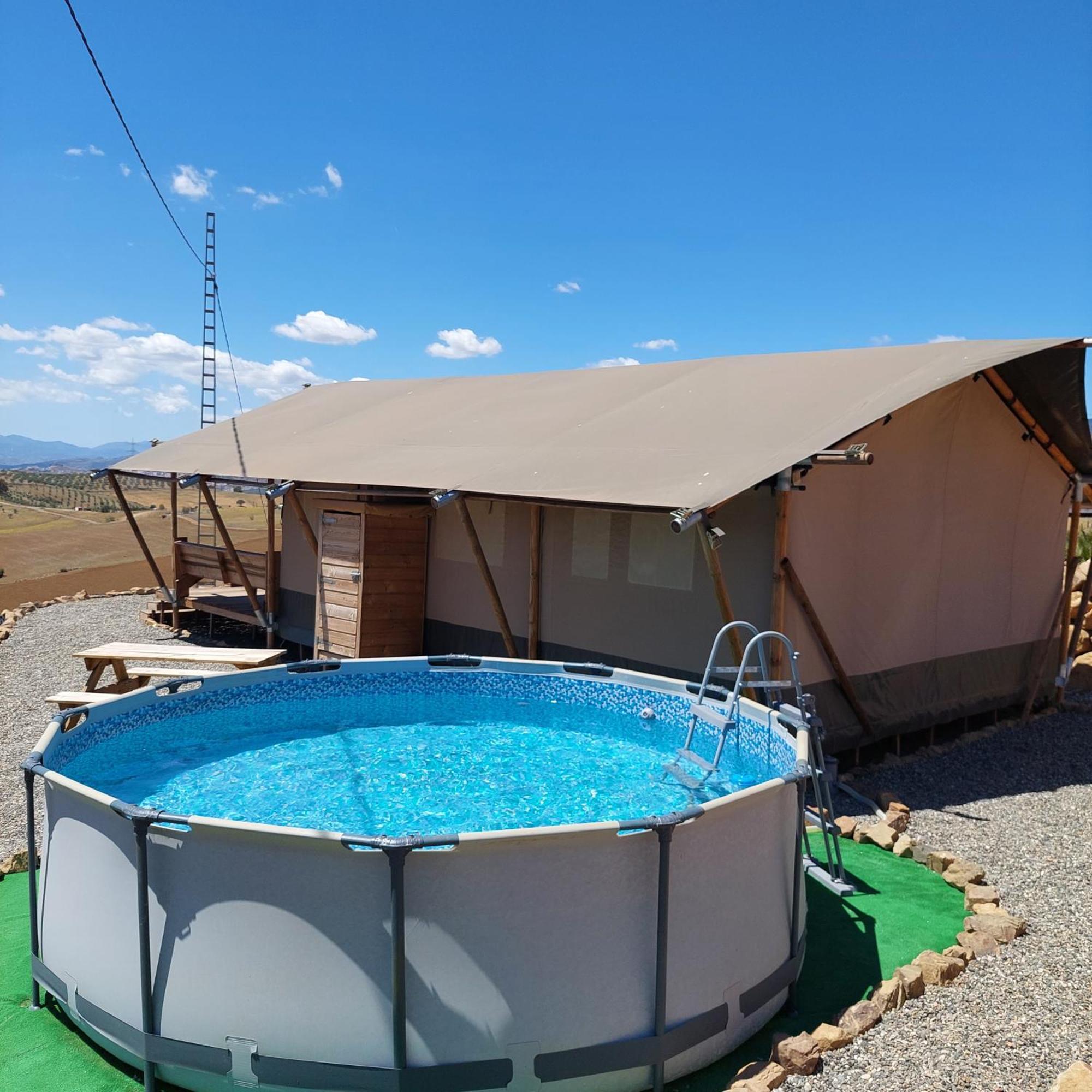 Cactus Hill - Safari Tents - Caminito Del Rey Alora Eksteriør bilde